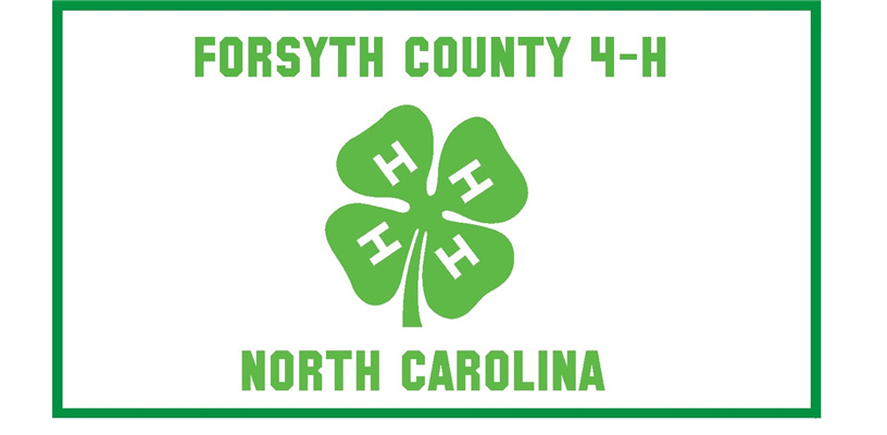 County 4-H Flag Design Contest